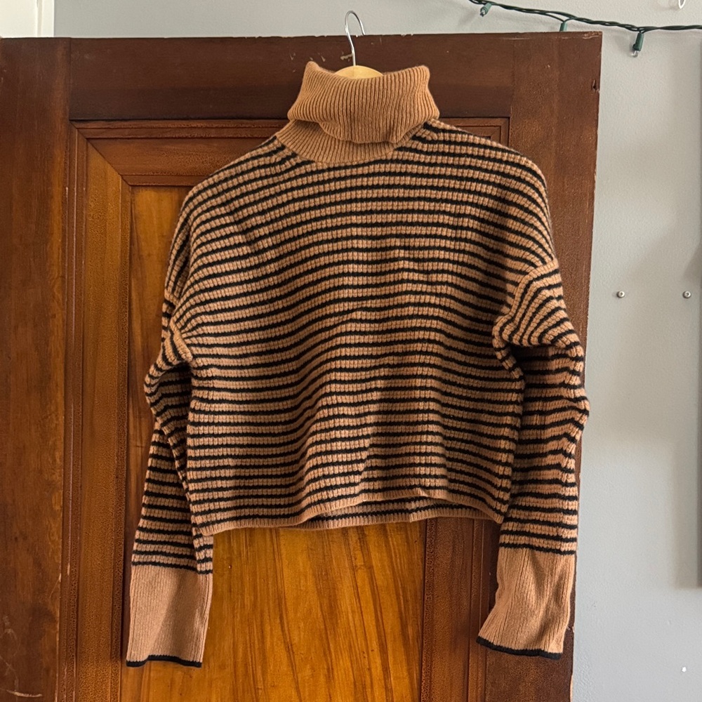 Madewell Tan and Black Striped Turtleneck Sweater